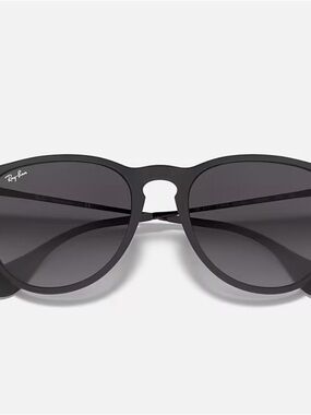 Ray-Ban Black Erika Sunglasses